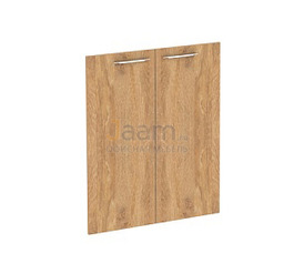 Мебель для персонала Двери средние G-020