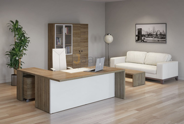 Кабинет руководителя Terra